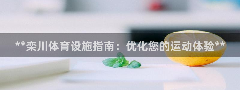 尊龙app登录不了